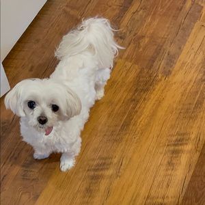 Meet your Posher, Fran